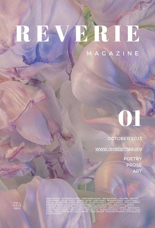 Reverie (3).jpg